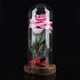thumbnail image 2 of Rosa del Principito Spptty Flor de Rosa eterna preservada con Cadena LED en cúpula de Vidrio, 2 of 7