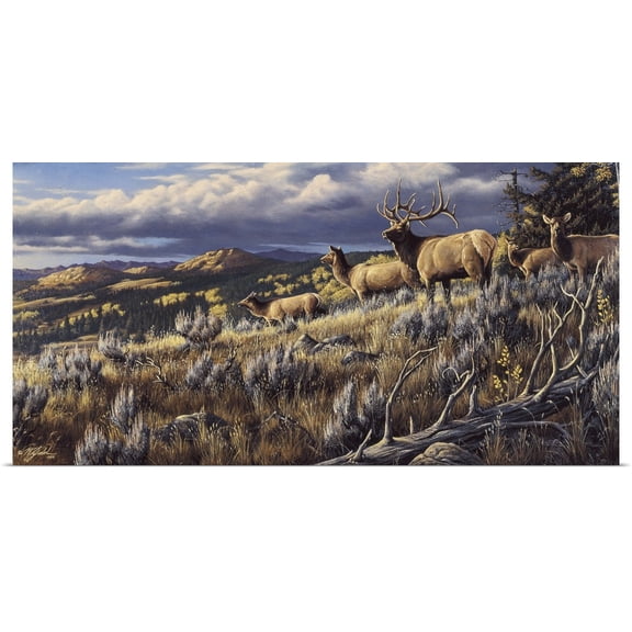 Great BIG Canvas | Rolled Wilhelm Goebel Poster Print entitled King Of The Hill - Elk