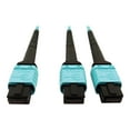 thumbnail image 3 of Eaton Tripp Lite Series 400G Multimode 50/125 OM4 Plenum Fiber Optic Cable, 24F MTP/MPO-PC to (x2) 12F MTP/MPO-PC (F/F), Aqua, 5 m - Network cable - MTP/MPO/PC multi-mode (F) to MTP/MPO/PC multi-mode (F) - 5 m - fiber optic - 50 / 125 micron - OM4 - plenum - black, aqua, 3 of 5