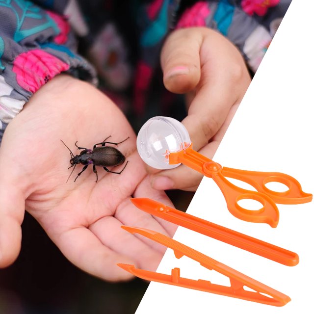 Gwong Juguete 3 unids / set Kids Insect Catcher Portátil Multifuncional Multifuncional Insecto Catching Kit de juguete para el patio trasero Gwong 30013517