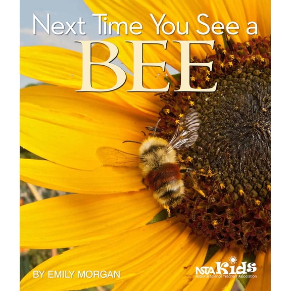 Pre-Owned Next Time You See a Bee (Paperback) 1681406519 9781681406510