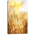thumbnail image 2 of Brown Wheat Plants in Field - Floral Canvas Art Print, 2 of 3