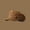 Khaki, variant on Women's Newsboy Cap Vintage Short Brim Adjustable Fall Winter Hat