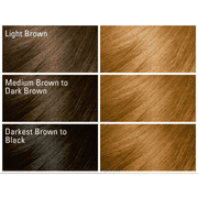 SoftSheen-Carson Dark & Lovely Fade Resist Hair Color, 378 Honey Blonde