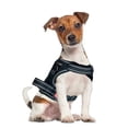 thumbnail image 2 of Pechera arnés E-Pets Color Negro Talla Chica Ajustable Antitirones, 2 of 4