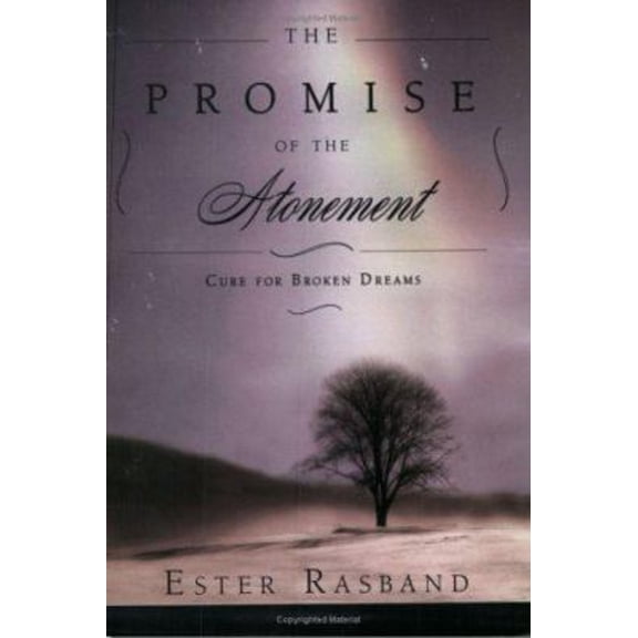 Pre-Owned The Promise of the Atonement : Cure for Broken Dreams (Paperback) 9781555177959