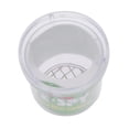 thumbnail image 4 of 10xInsect Viewer Locket Box Jar Lupa Bug Lupa Lupa Reloj Juguete Sunnimix lupa, 4 of 8