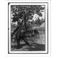thumbnail image 2 of Historic Framed Print, Happy Hooligan it is to laugh : nothing but fun. - 3, 17-7/8" x 21-7/8", 2 of 9