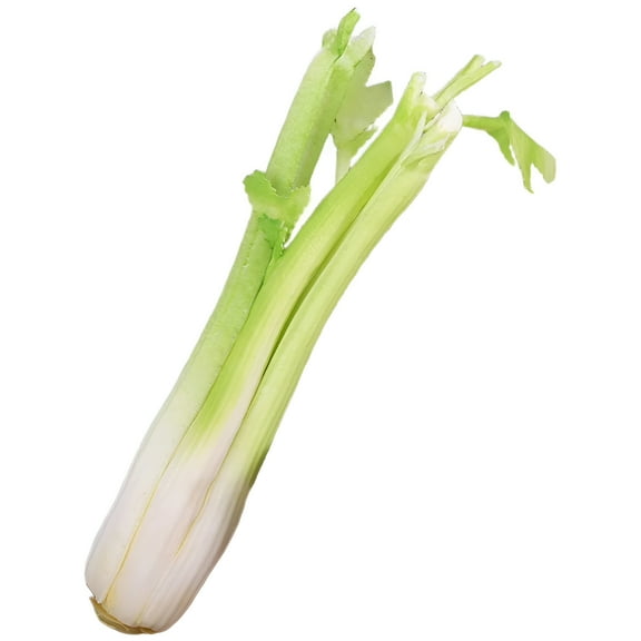 LAMIRO Realistic Celery,Artificial Vegetable Fake Realistic Pu Vegetable Photography Props for Thanksgiving Wedding Party Table Decorations
