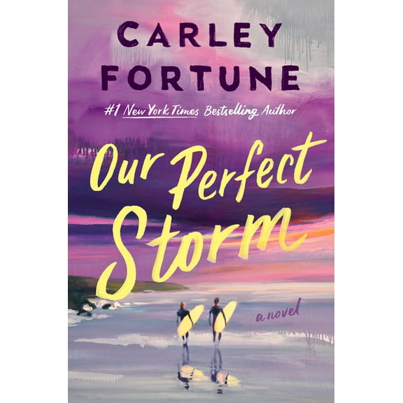 Our Perfect Storm (Hardcover)