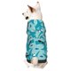 thumbnail image 1 of Fotbe Shark Wearing Sunglasses Sudadera con Estampado para Perros Pequeños – Suéter con Capucha para Mascotas, Tela Suave de Forro Polar con Bolsillo-Small, 1 of 7