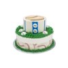 Sports Fan 2 Tier Cake