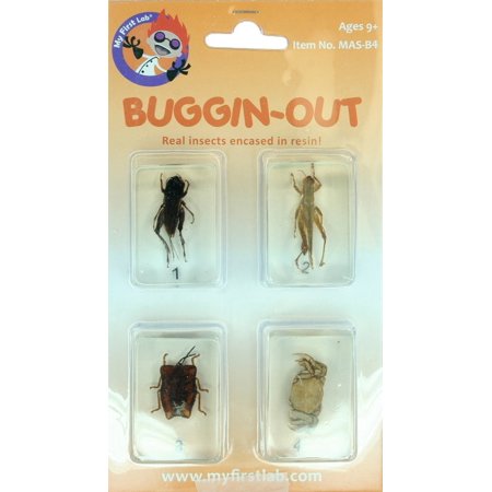 My First Lab, Buggin-Out Micro Fun Bug Set By C A Scientific
