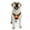 Orange, variant on Reflective Dog Harness No Pull Dog Vest Harness With Handle, Breathable Padded Dog Chest Harness Adjustable for Small to Large Dogs, Pink, Size L