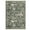 Green, variant on Garvee 8x10 Modern Abstract Print Rugs, Washable Living Room Rug Non Slip Non-Shedding Forest Tiger Floor Rugs Carpet, Soft Stain Resistant Indoor Rug for Dining Room Bedroom, Blue