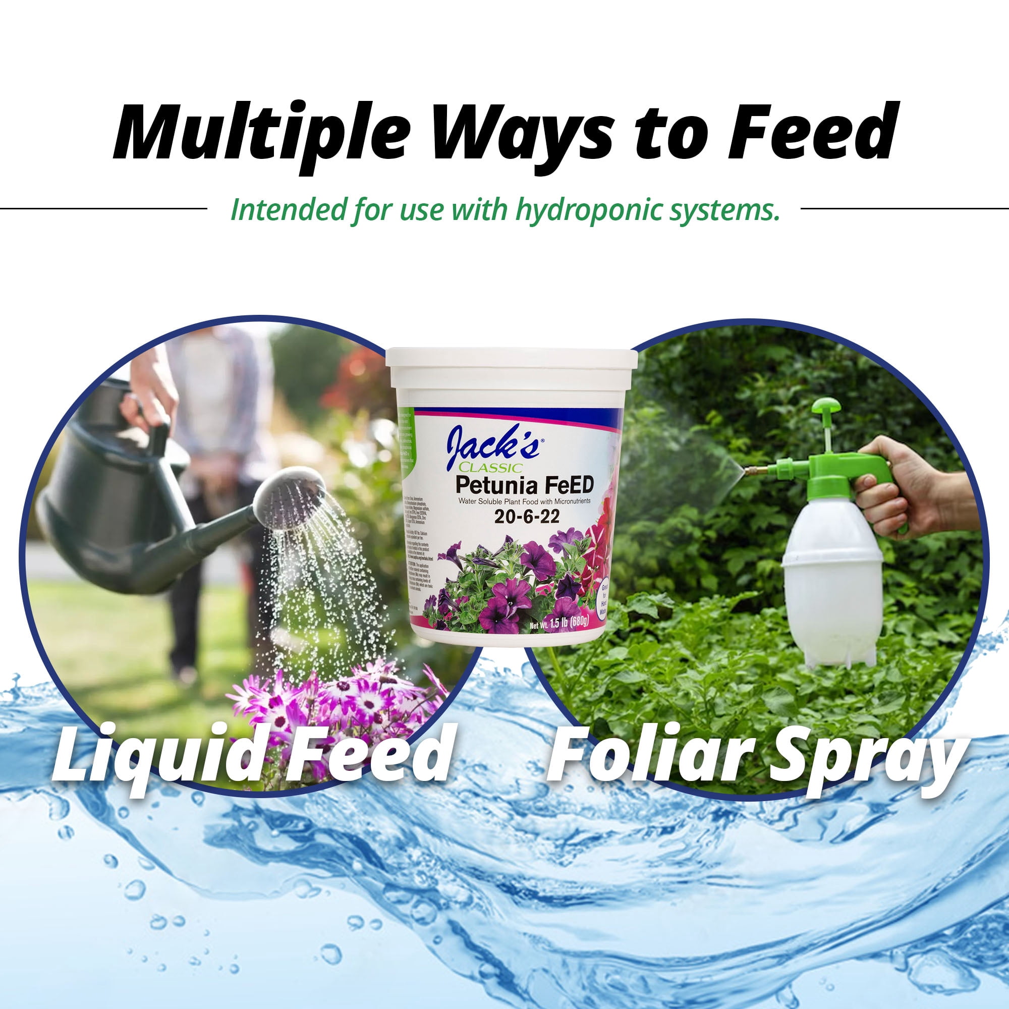 JR Peters Jack's Classic Petunia FeED 20-6-22 Water Soluble Plant Food - 1.5#