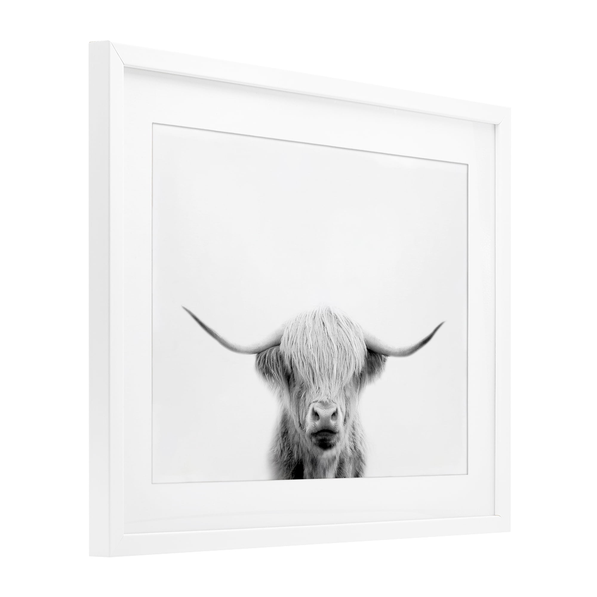 Stupell Industries Scottish Cow Portrait White Framed Print Under Glass, design by Leah Straatsma