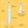 thumbnail image 6 of Pure Enrichment PureBaby Infant-to-Toddler Electric Toothbrush - Waterproof Baby & Toddler Toothbrush with Silicone & Bristle Heads, Sonic Vibration, & Timer - Ages 6 Mo-3 Yrs (Sage Green), 6 of 7
