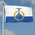 thumbnail image 3 of Dutern Double Sided City of Orlando Flag Florida Banner 3 Ply with Brass Grommets 2x3 Feet, 3 of 5