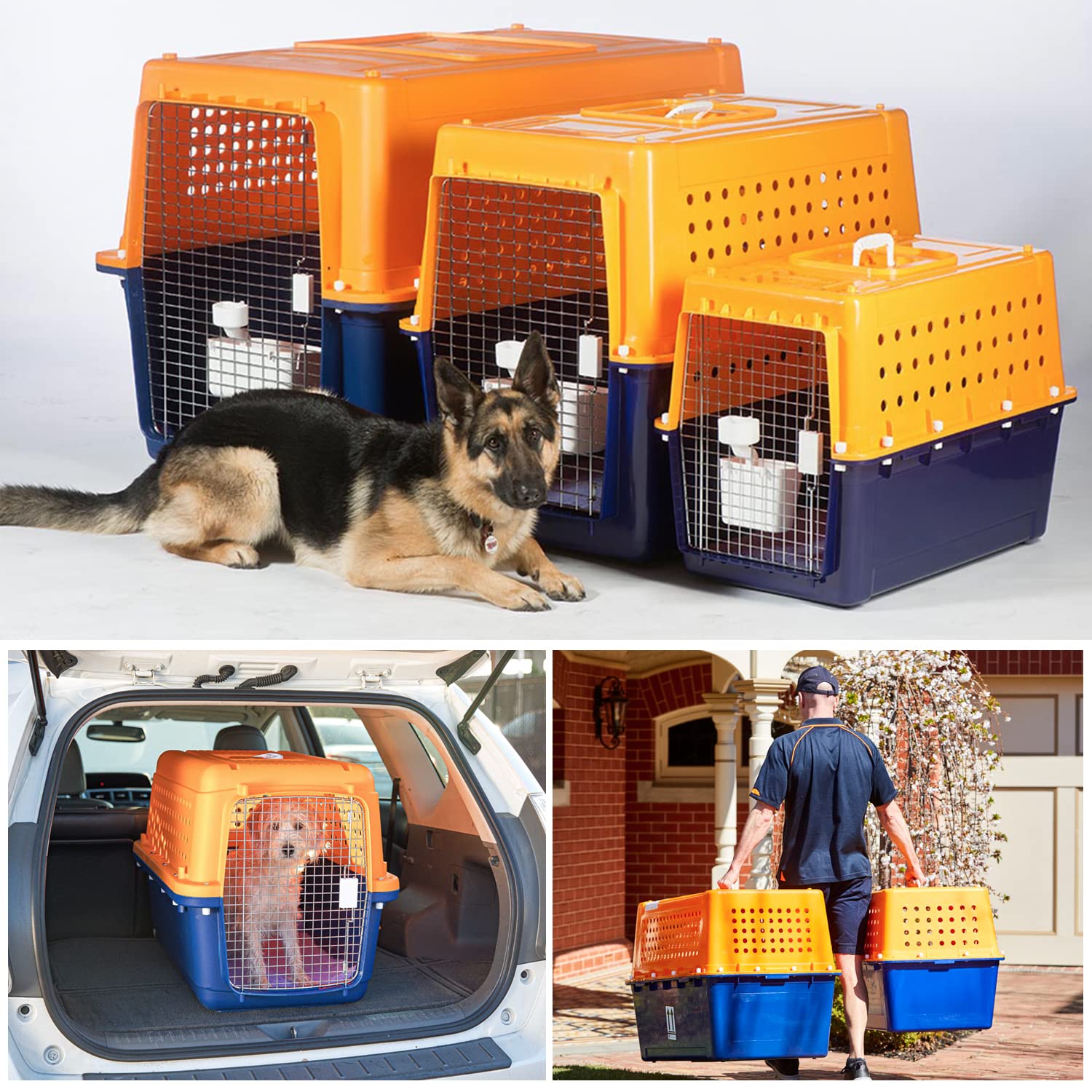 Pet Crate for Large Dogs and Cats, Heavy Duty Airline Approved Travel Kennel, Durable Metal Door Dog Cage Indoor Outdoor Use, Includes Mat and Bowl, Yellow and Blue