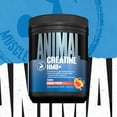 thumbnail image 3 of Animal Creatine HMB Powder – 5g Creatine + 3g myHMB with Electrolytes for Lean Muscle, Recovery & Daily Energy – Power Punch Flavor, 30 Servings, 3 of 6