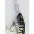 thumbnail image 4 of Wildlife Lures 3" inch Bunker Hard Fishing Lure Bait (Banded Leporinus Trout), 4 of 5