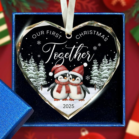 Our First Christmas Together Ornament 2025 - Wedding Gifts - Wedding Gifts for Couples 2025, Newlywed, Newly Married, Husband, Wife, Mr Mrs - Glass Penguin 1st Christmas Together Ornament