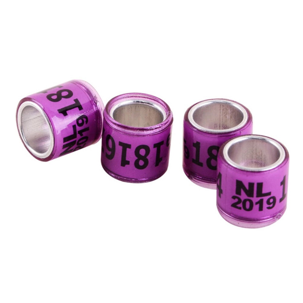Wholesale Closed Type Pigeon Foot Rings - China Pigeon Rings, Pigeon Band |  Made-in-China.com