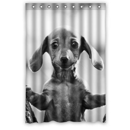 Lovely 100 Dachshund Bathroom Decor 2021