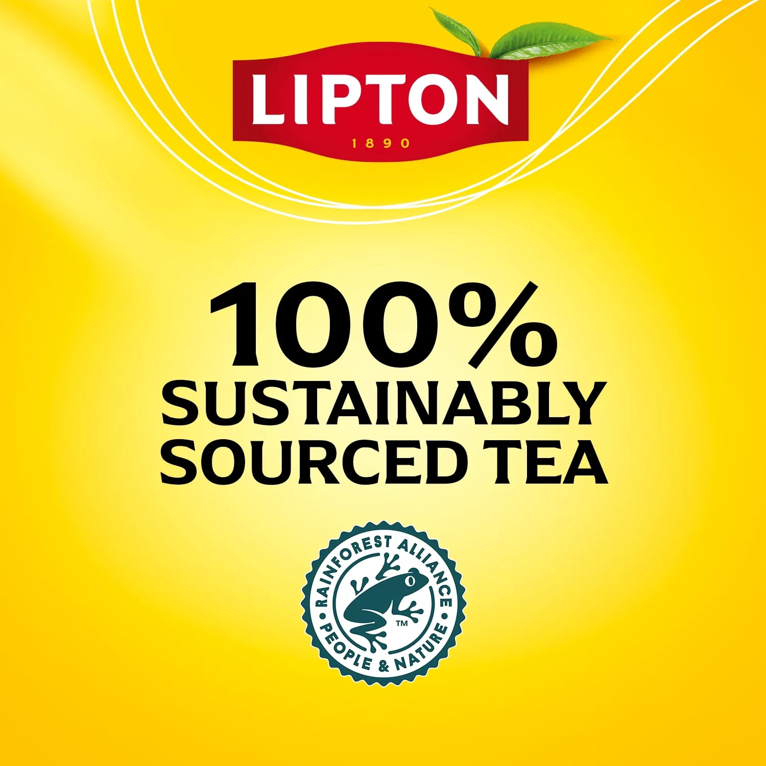 Lipton Earl Grey Black Tea Bags, 20 Count, Pack of 6
