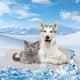 thumbnail image 5 of Tapete refrescante para mascotas, para perros y gatos, con tejido refrescante, lavable, para cama, sofá, asiento de coche, cómodo y transpirable., 5 of 9