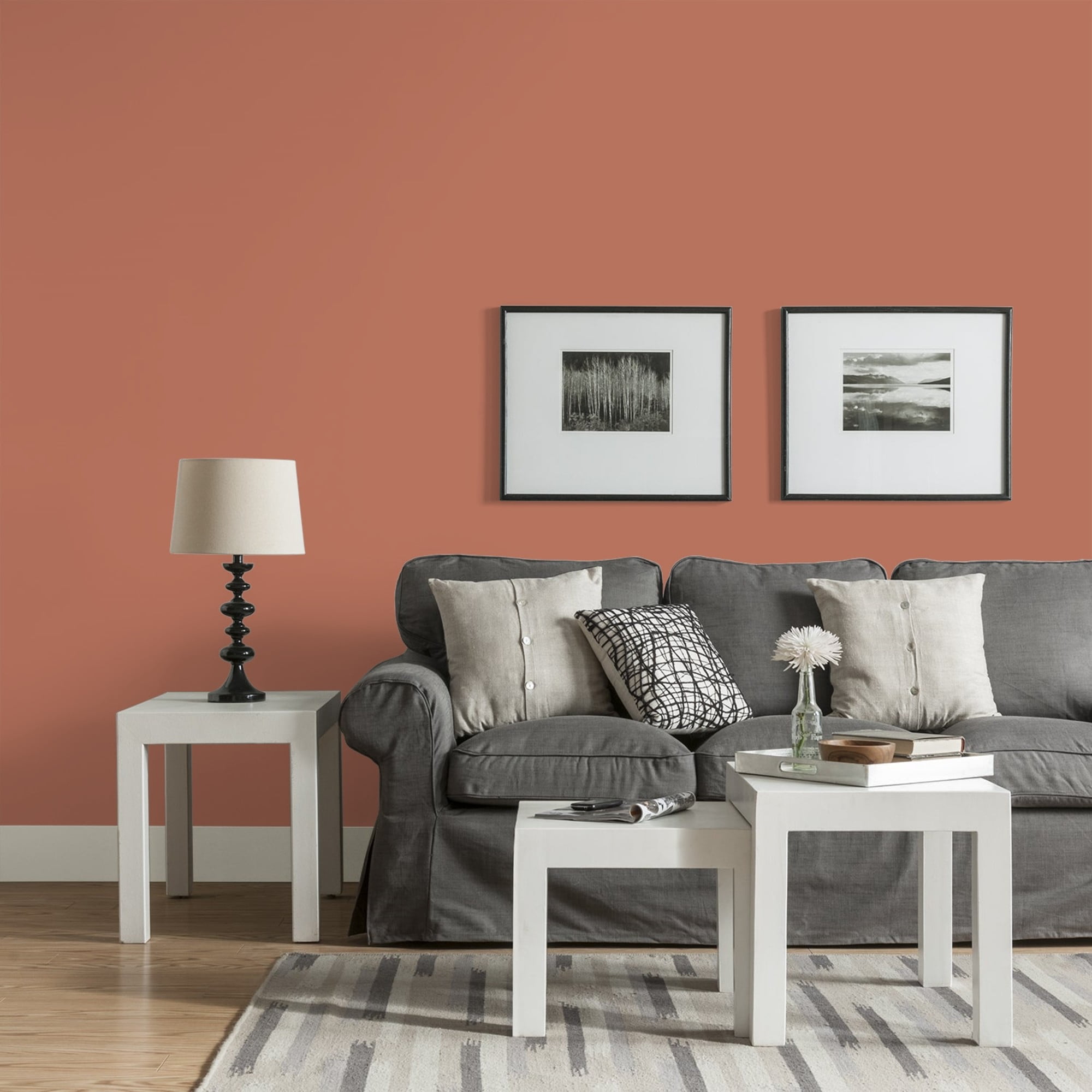 Glidden One Coat Crushed Cinnamon / Orange Eggshell Interior Paint with Primer, 1 Gallon