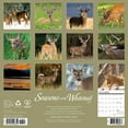 thumbnail image 2 of Willow Creek Press, Seasons of the Whitetail Deer 2025 Wall Calendar, 2 of 4