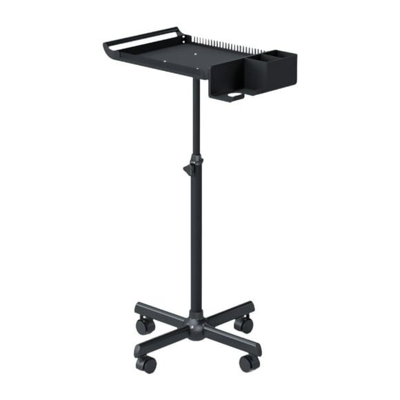 BELOVING Salon Rolling Tray Cart Mobile Storage Salon Tray for SPA Beauty Hairstylist