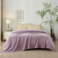 thumbnail image 2 of Mainstays Plush Textured Blanket, Lilac, King 102" x 90", All Ages, 2 of 5