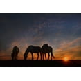 thumbnail image 2 of PHBurchett 18x13 White Modern Wood Framed Museum Art Print Titled - Camargue Sunrise, 2 of 4