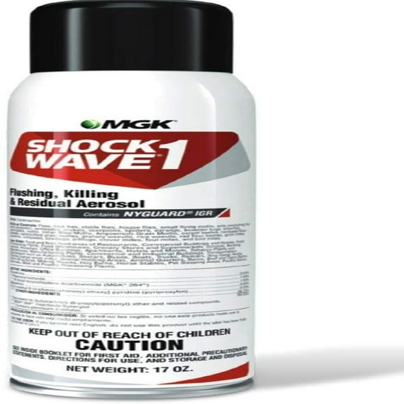 Shock Wave 1 Aerosol