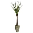 thumbnail image 1 of Vintage Home Artificial Faux Real Touch 77.5" Tall Real Touch Agave And Fiberstone Planter, 1 of 1