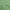 Sea Green, variant on oneOone Polyester Spandex Sea Green Fabric Florals Fabric For Sewing Printed Craft Fabric By The Yard 56 Inch Wide