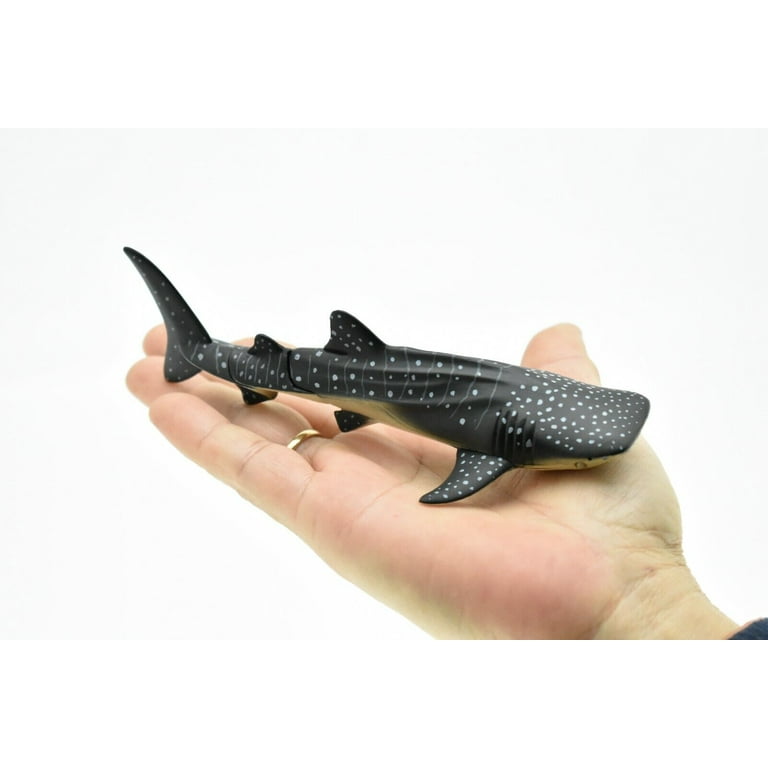 Whale shark, Movable Parts, Realistic Toy Model Plastic
