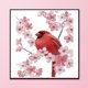 thumbnail image 2 of Cuadros Decorativos Punto de cruz parcial 11CT Bull-bellied Bird contado bordado DIY costura DQrwqpou Nuevos Originales, 2 of 8
