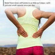 BioTrust Joint 33X™ — Advanced 3-in-1 Joint Health Supplement with Collagen Support