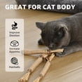 thumbnail image 3 of Max & Marlow 3 Pack Natural Silvervine Sticks Cat Toys, Kittens Chew Toys for Teeth Cleaning, 3 of 6