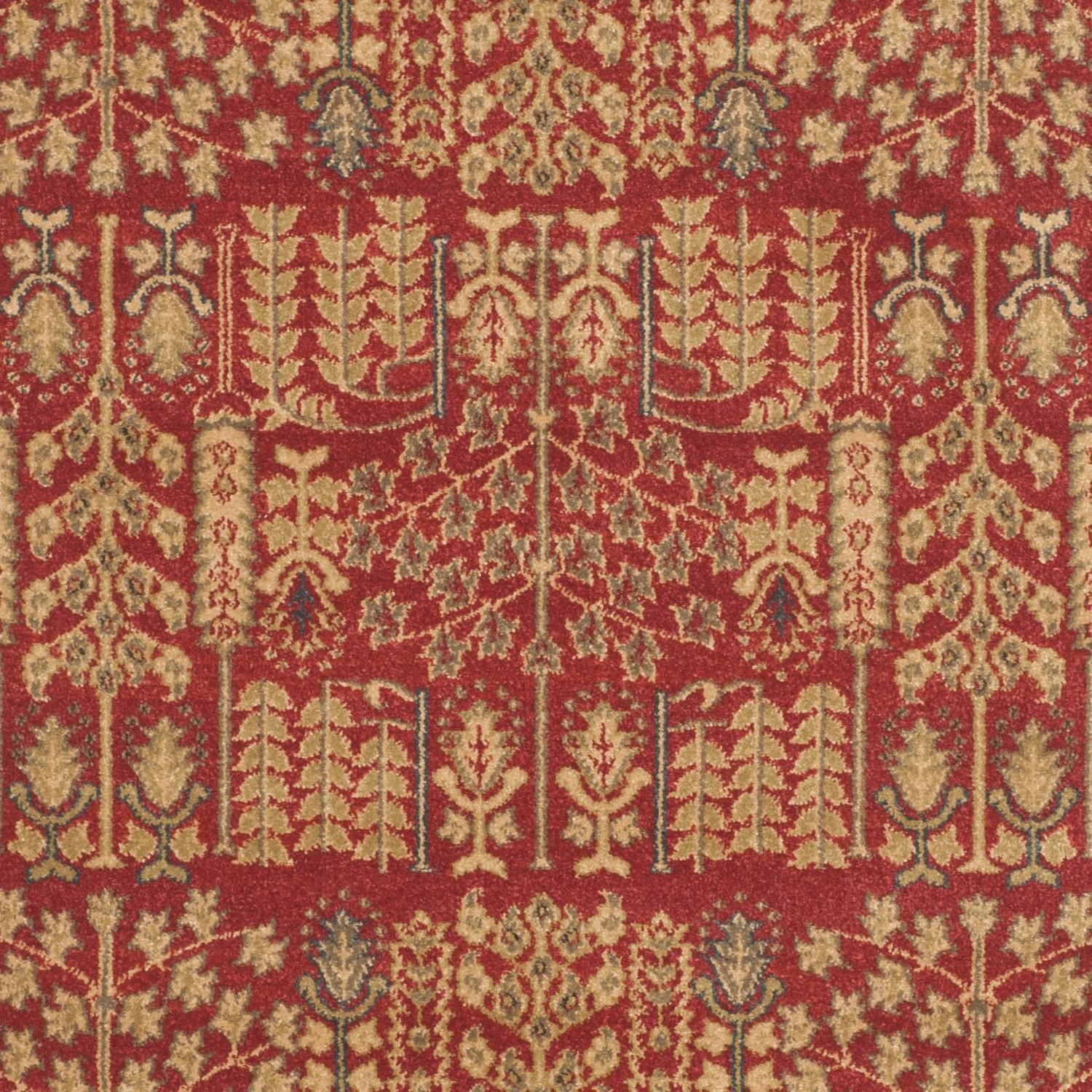 Safavieh Mahal Phylliss Traditional Area Rug