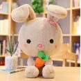 thumbnail image 1 of Set de regalo para bebés HUOGUO, hermoso peluche de conejo peludo, 1 of 5