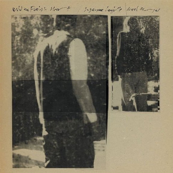Neel Murgai - Wild and Foolish Heart - Music & Performance - Vinyl