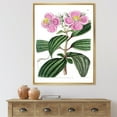 thumbnail image 3 of Designart Vintage Plant Life XXIII FLOAT FRAME WALL ART, 3 of 4
