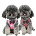 thumbnail image 5 of XBASW Dog Harness Leash Set with Bell Bowtie Anti-Lost Comfortable Vest for Small Dogs Cats, 5 of 7