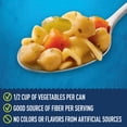 thumbnail image 4 of Progresso Chickpea & Noodle Protein Soup, Vegetarian, 18.5 oz., 4 of 14