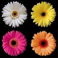 thumbnail image 2 of Christensen, Jim 12x12 White Modern Wood Framed Museum Art Print Titled - Gerber Group 1, 2 of 4